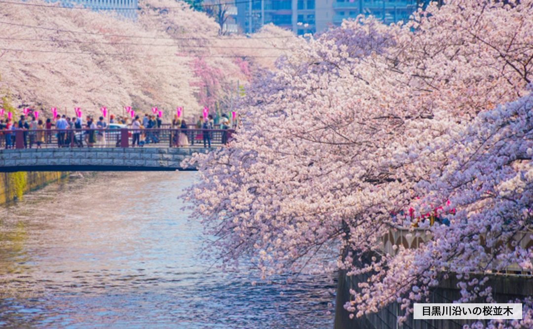 東京都目黒区上目黒 新築ファンド | ヤマワケ
